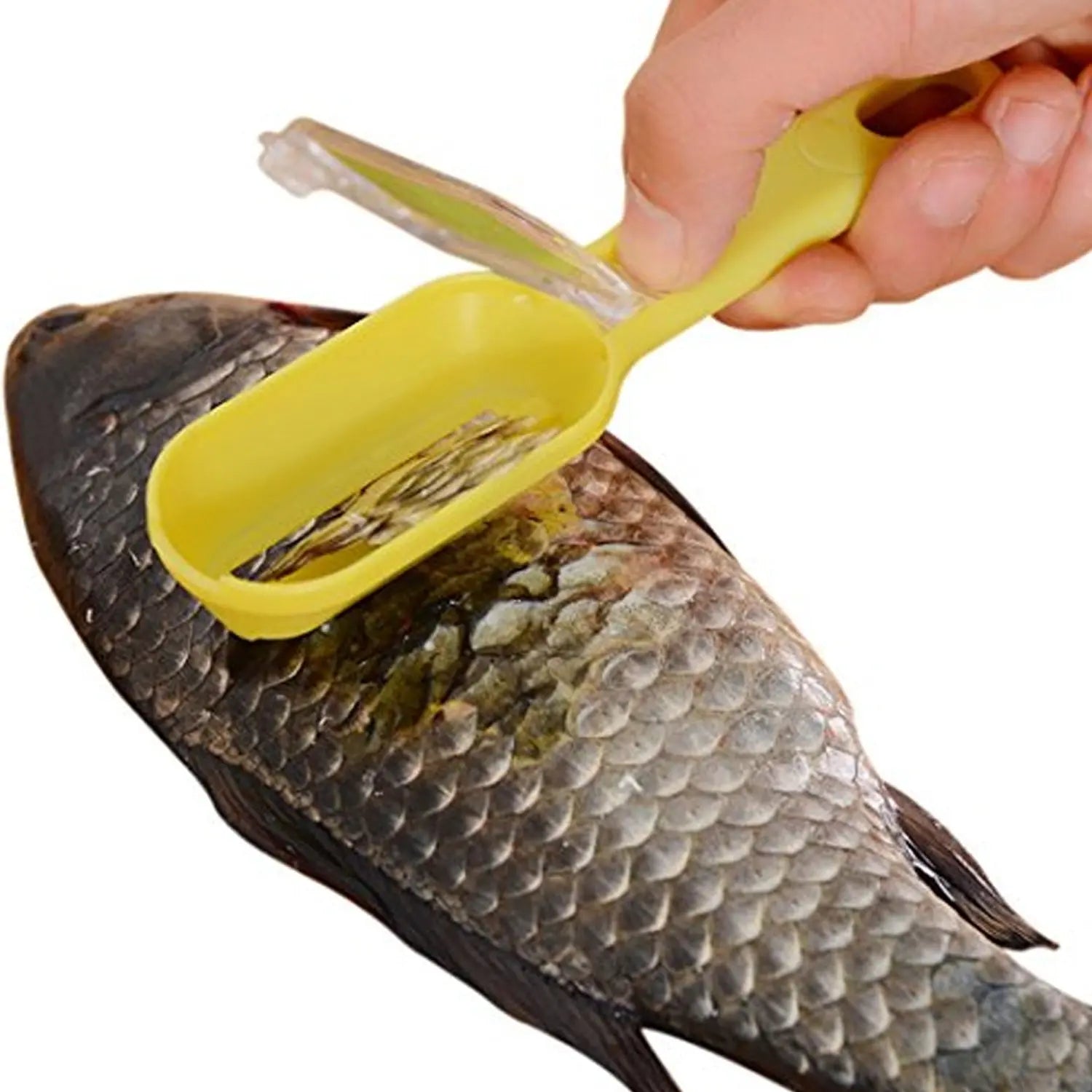 0112 Plastic Fish Scales Graters Scraper Fish Skin Brush Fish Cleaning Tool Scraping Scales Device With Cover Home Kitchen Cooking Tools 1 Pieces - Image #3