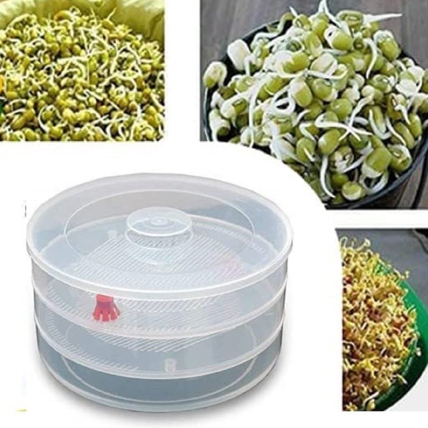 5580 Miracle Plastic Healthy Hygienic Sprout Maker With 3 Compartments For Home Kitchen (1 Pc)