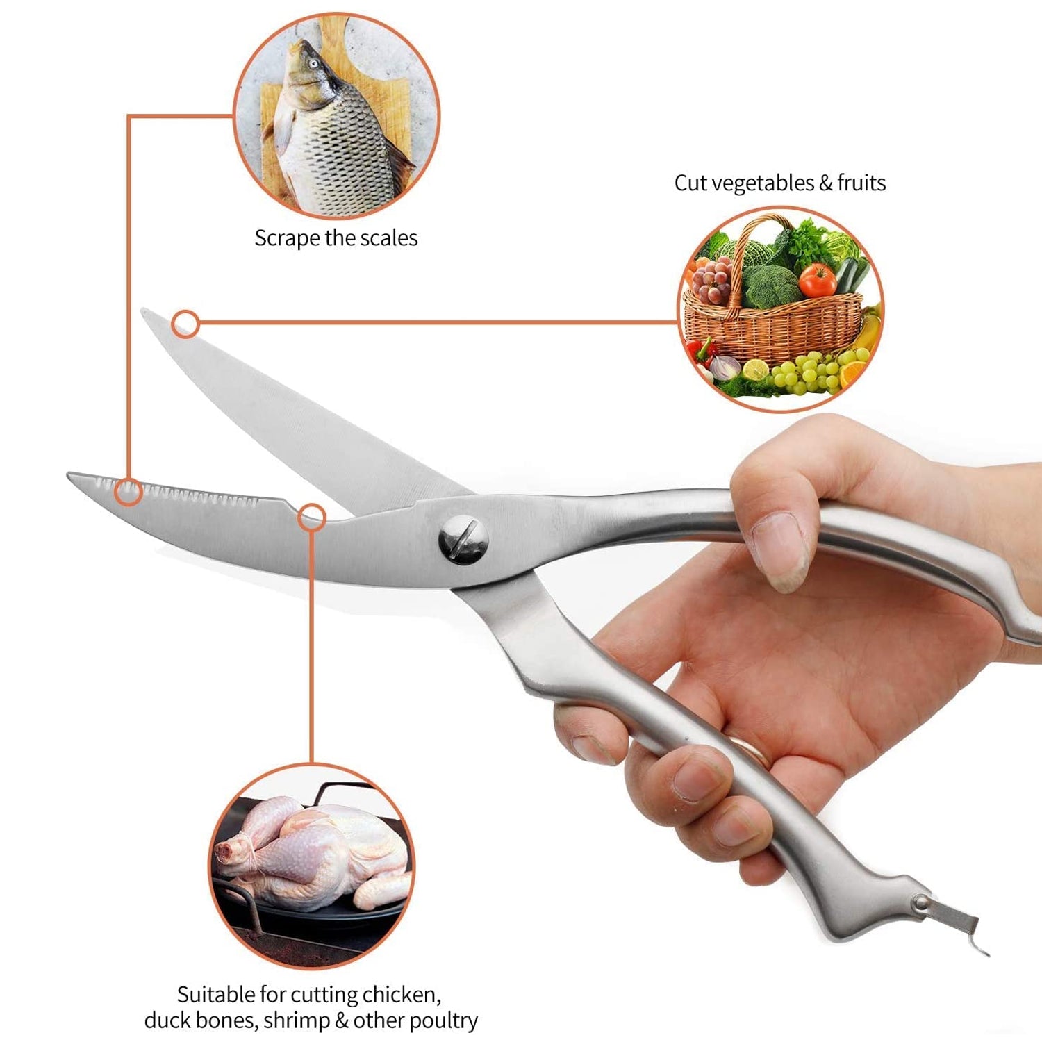 5206 Heavy Duty Stainless Steel Poultry Shears Premium Ultra Sharp Spring-loaded Kitchen