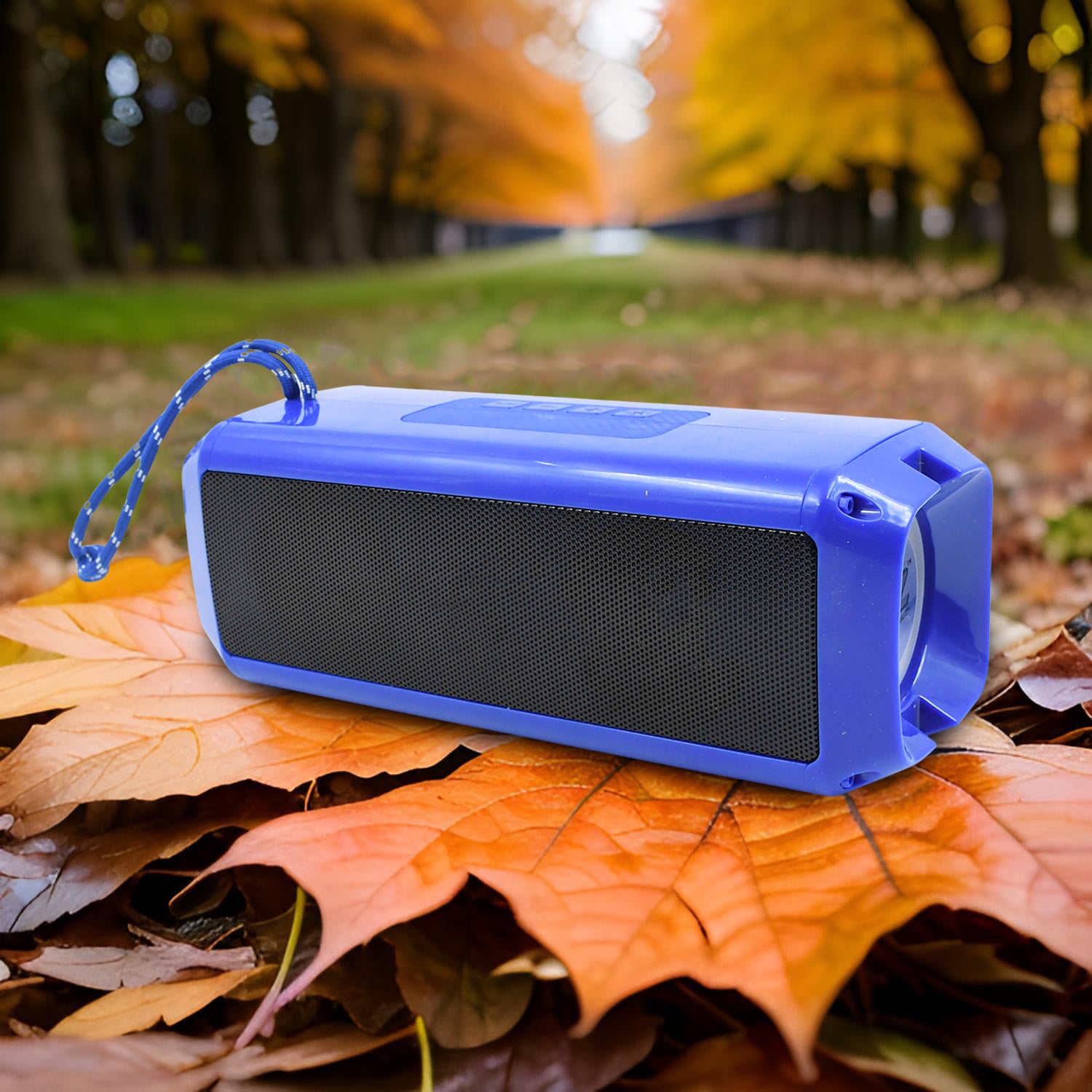 Portable Wireless Rechargeable Speaker Bluetooth Speaker (1 Pc)