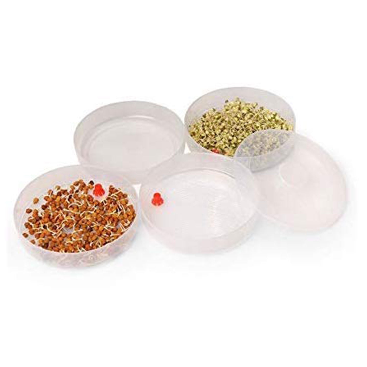 5580 Miracle Plastic Healthy Hygienic Sprout Maker With 3 Compartments For Home Kitchen (1 Pc)