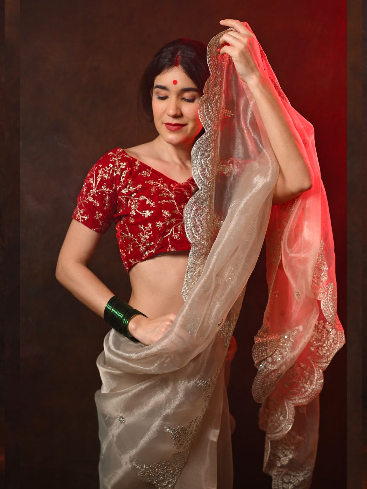 Tissue Organza Saree with Intricate Embroidered Work – Perfect for Festive Occasions S2010